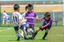 开云体育在线登录-足球运动在中国掀起热潮，球场上精彩纷呈